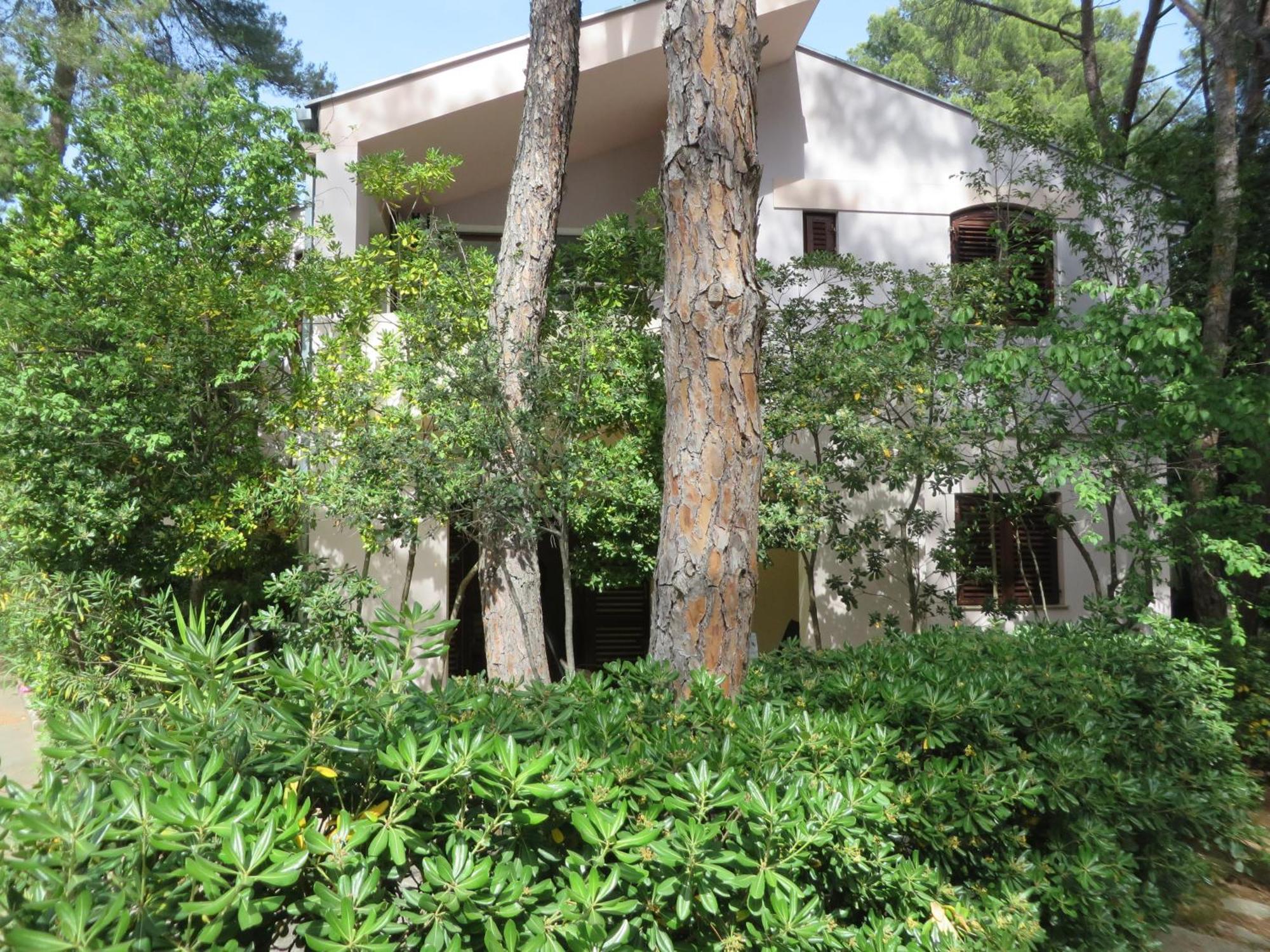 Soline Beach Apartments Biograd Na Moru Quarto foto